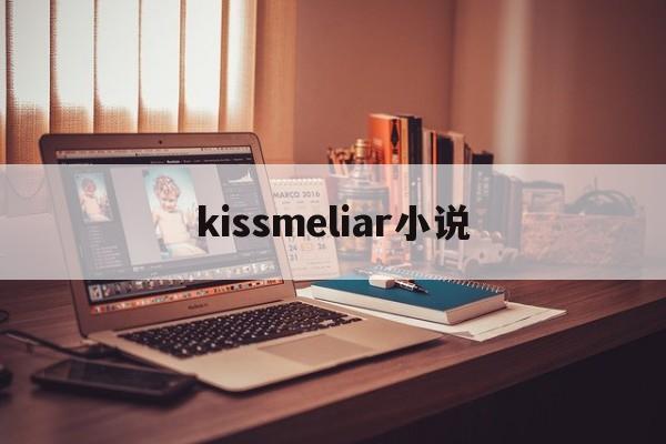 kissmeliar小说(kiss me liar 作者zig)