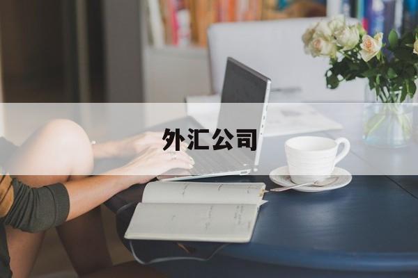 外汇公司(外汇公司是做什么的)