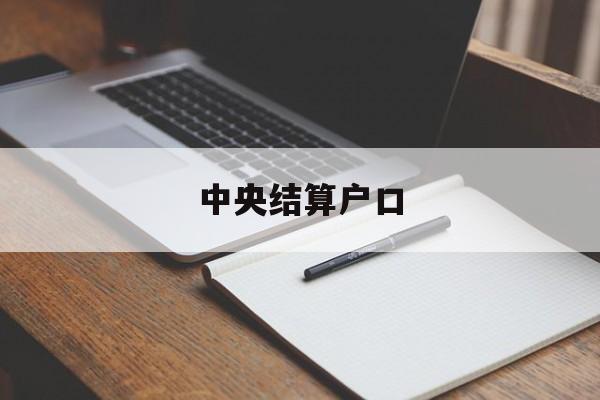 中央结算户口(中央结算是什么意思)